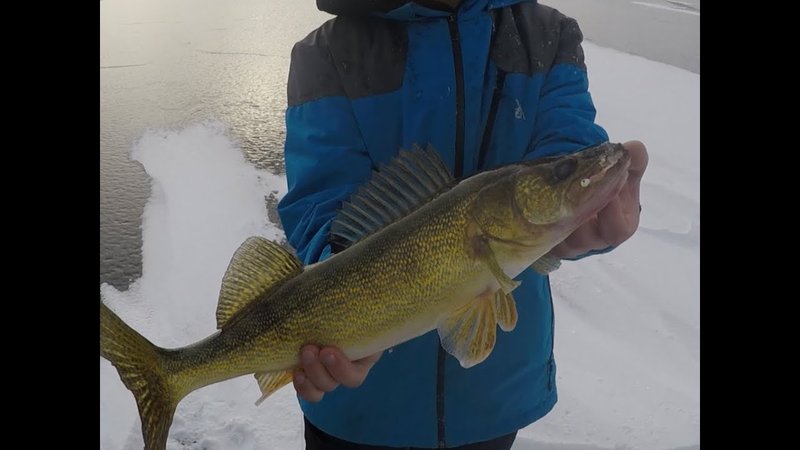 Experience the Thrill of Ice Fishing Game in Online Casinos UK